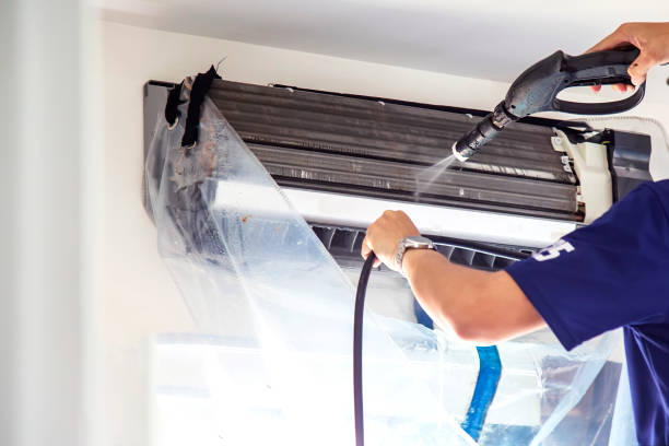 Best Affordable HVAC Duct Cleaning  in Dundee, MI