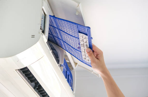 Best Air Duct Cleaning Company Near Me  in Dundee, MI
