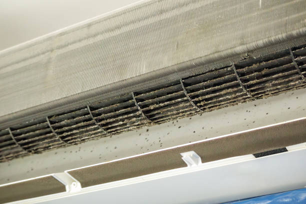 Best Air Duct Cleaning Near Me  in Dundee, MI