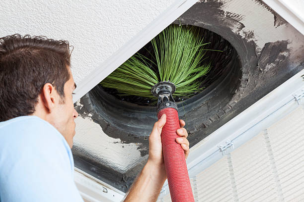Best Local Air Duct Cleaning Services  in Dundee, MI